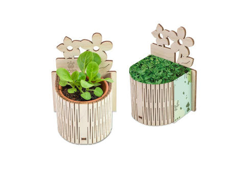 My Tiny Garden Blümchen - Gartenkresse