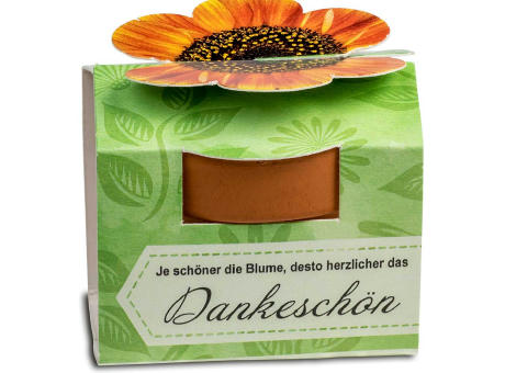 Tontöpfchen-Blume mit Samen - Basilikum