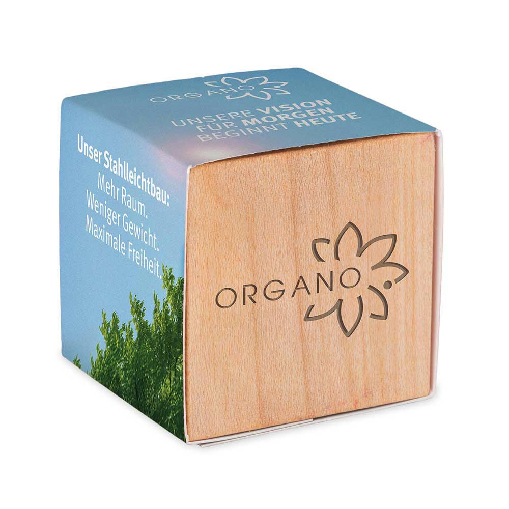 Pflanz-Holz mit Samen - Petersilie