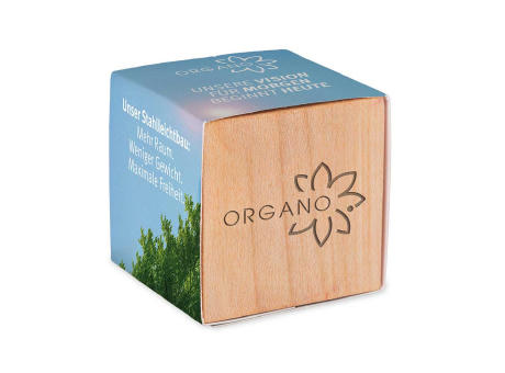 Pflanz-Holz mit Samen - Petersilie