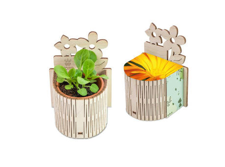 My Tiny Garden Blümchen - Ringelblume