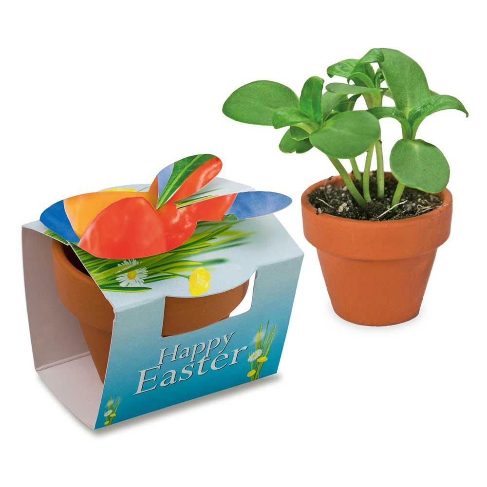 Tontöpfchen-Hase mit Samen - Gewürzpaprika