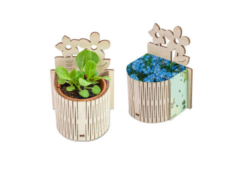 My Tiny Garden Blümchen - Vergissmeinnicht