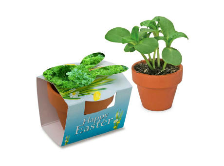 Tontöpfchen-Hase mit Samen - Petersilie