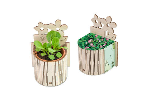 My Tiny Garden Blümchen - Persischer Klee, inkl. Lasergravur