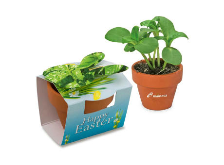 Tontöpfchen-Hase mit Samen - Basilikum inkl. Tampondruck