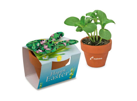 Tontöpfchen-Hase mit Samen - Persischer Klee inkl. Tampondruck