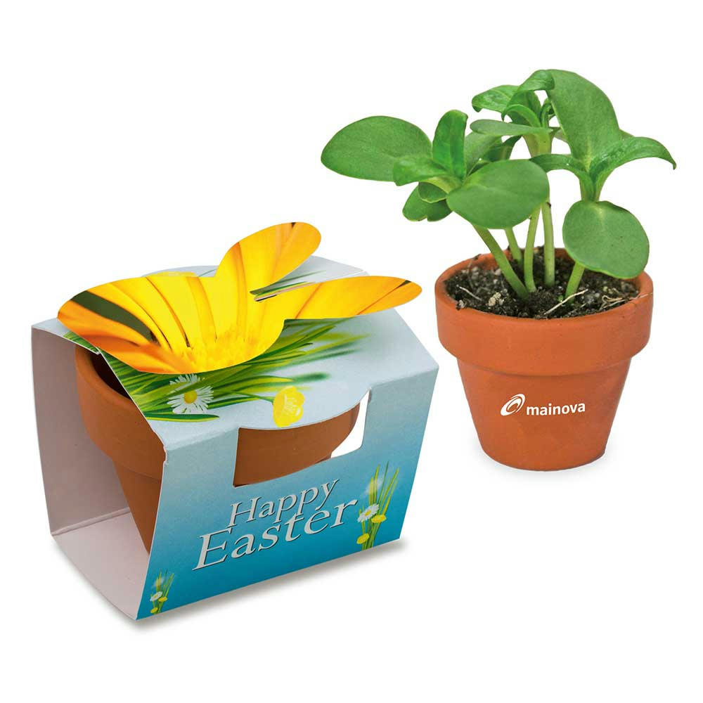 Tontöpfchen-Hase mit Samen - Ringelblume inkl. Tampondruck