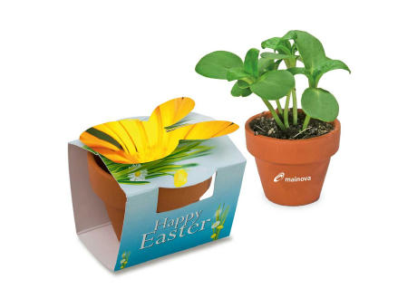 Tontöpfchen-Hase mit Samen - Ringelblume inkl. Tampondruck