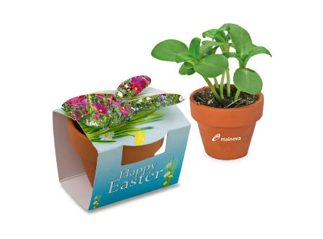 Tontöpfchen-Hase mit Samen - Sommerblumenmischung inkl. Tampondruck