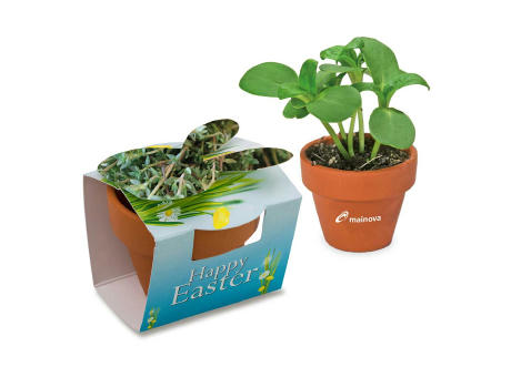 Tontöpfchen-Hase mit Samen - Thymian inkl. Tampondruck