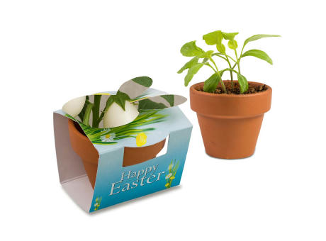 Tontöpfchen-Hase mit Samen - Eierbaumsamen