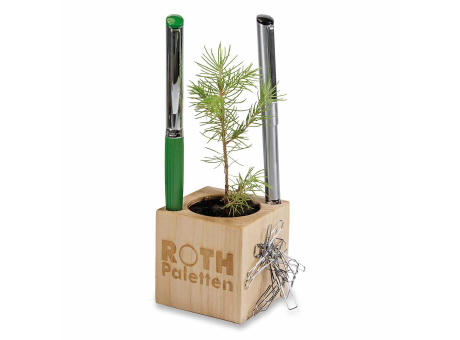 Pflanz-Holz Büro Star-Box mit Samen - Petersilie, 1 Seite gelasert