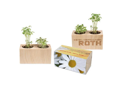 Pflanz-Holz 2er Set mit Samen - Margerite