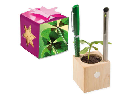 Pflanz-Holz Büro Star-Box mit Samen - Glücksklee-Zwiebel, 2 Seiten gelasert (* Je nach Verfügbarkeit der Glücksklee-Zwiebeln)