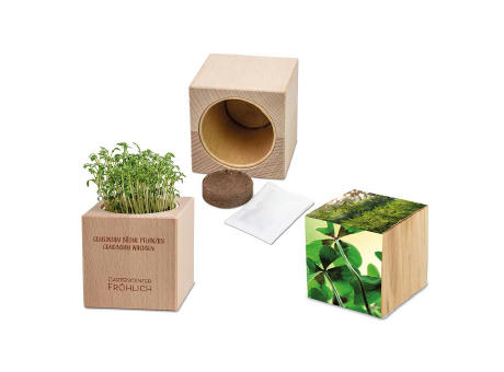 Pflanz-Holz Grande mit Samen - Glücksklee-Zwiebel, 2 Seiten gelasert (* Je nach Verfügbarkeit der Glücksklee-Zwiebeln)