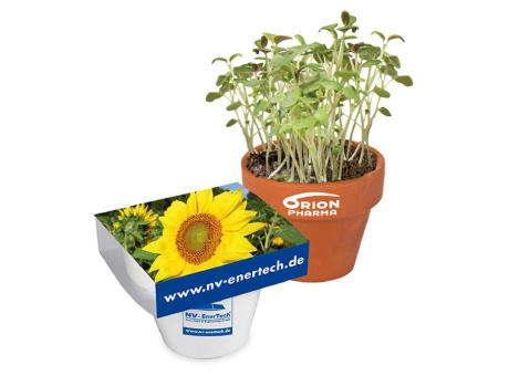 Logo-Topf - weiß - Sonnenblume 