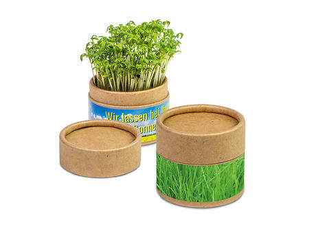 Pflanz-Cup mit Samen - Gras