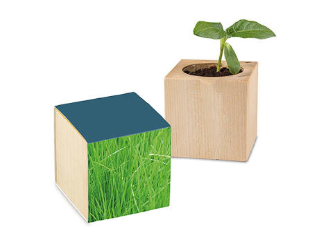 Pflanz-Holz mit Samen - Gras, 2 Seiten gelasert
