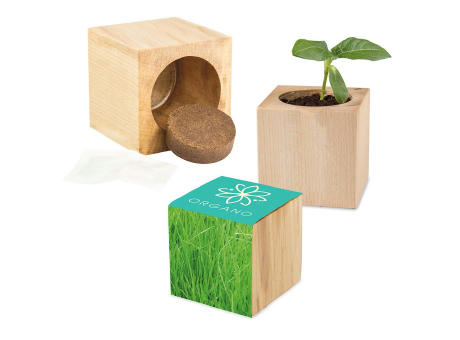 Pflanz-Holz Maxi mit Samen - Gras, 1 Seite gelasert