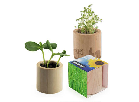 Pflanz-Holz rund mit Samen - Gras, Lasergravur