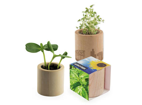 Pflanz-Holz rund mit Samen - Basilikum, Rundum-Lasergravur