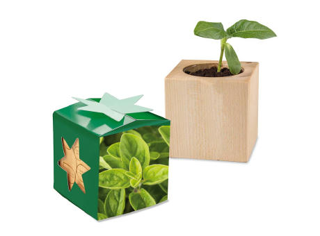 Pflanz-Holz Star-Box mit Samen - Majoran