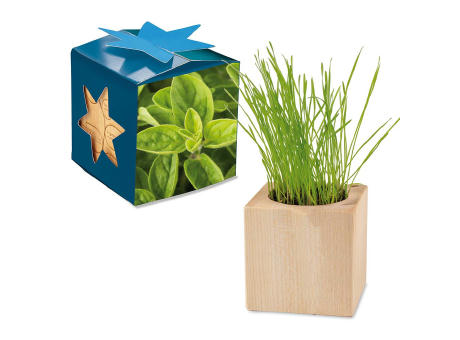 Pflanz-Holz Maxi Star-Box mit Samen - Majoran, 1 Seite gelasert