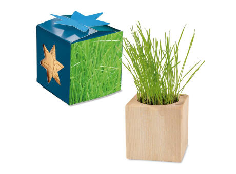 Pflanz-Holz Maxi Star-Box mit Samen - Gras, 2 Seiten gelasert