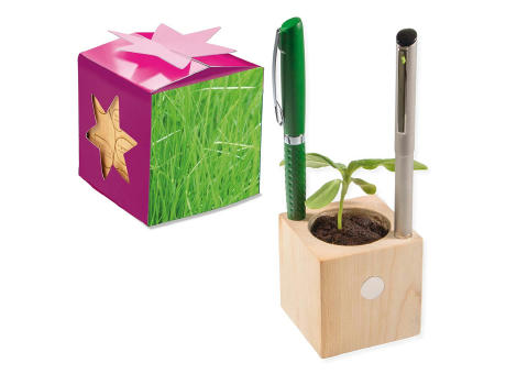 Pflanz-Holz Büro Star-Box mit Samen - Gras, 1 Seite gelasert