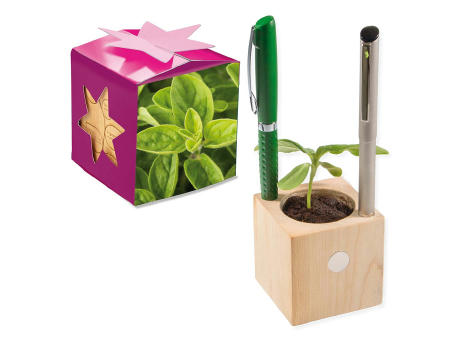 Pflanz-Holz Büro Star-Box mit Samen - Majoran, 2 Seiten gelasert