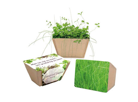 Mini-Beet mit Samen - Gras, Lasergravur