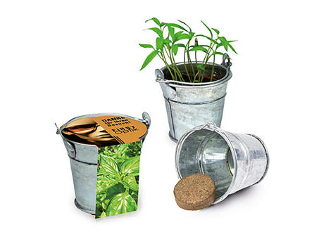 Pflanzeimerchen mit Samen - Basilikum