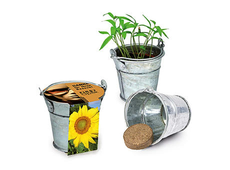 Pflanzeimerchen mit Samen - Sonnenblume