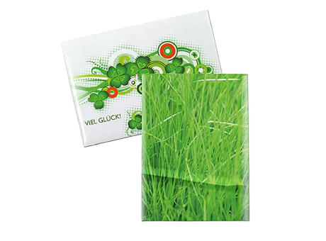 Samentütchen Mini - Standardpapier - Gras