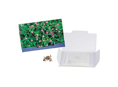 Flower-Card mit Samen - Persischer Klee