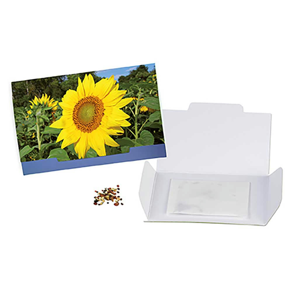 Flower-Card mit Samen - Sonnenblume