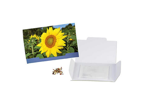 Flower-Card mit Samen - Sonnenblume