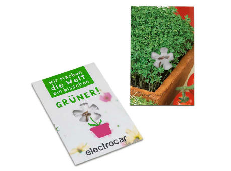 Samen-Karte-Mini Blume - Gartenkresse