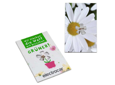 Samen-Karte-Mini Blume - Margerite