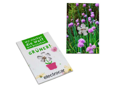 Samen-Karte-Mini Blume - Schnittlauch