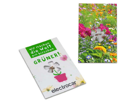 Samen-Karte-Mini Blume - Sommerblumenmischung