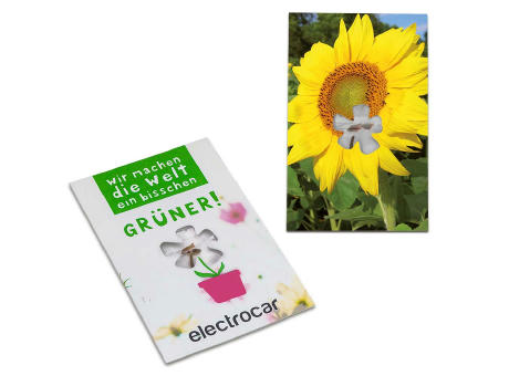 Samen-Karte-Mini Blume - Sonnenblume