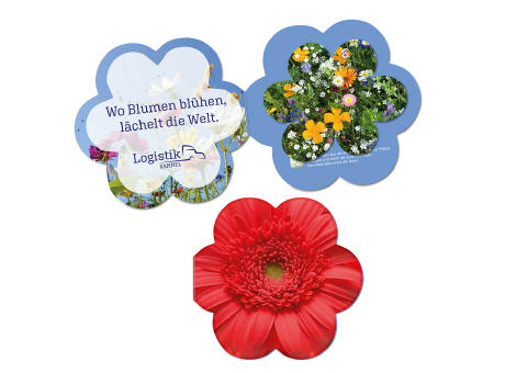 Samenpapier in Klappkärtchen Blume - Blümchen