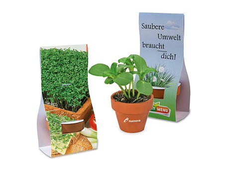 Logo-Töpfchen Überreichverpackung mit Samen - Gartenkresse