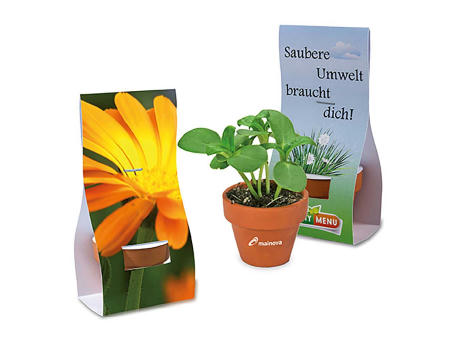 Logo-Töpfchen Überreichverpackung mit Samen - Ringelblume