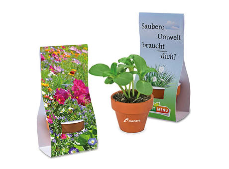 Logo-Töpfchen Überreichverpackung mit Samen - Sommerblumenmischung