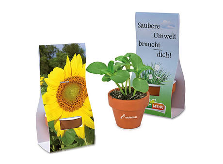 Logo-Töpfchen Überreichverpackung mit Samen - Sonnenblume