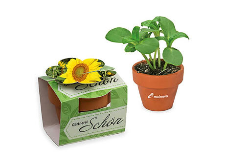Tontöpfchen-Blume mit Samen - Sonnenblume inkl. Tampondruck