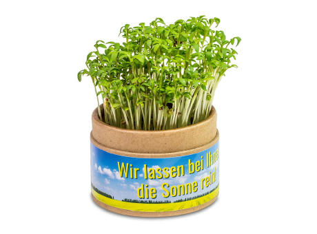 Pflanz-Cup mit Samen - Gartenkresse